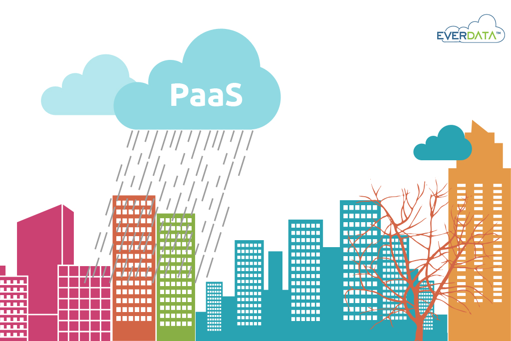 PaaS Cloud Corporate Revolution